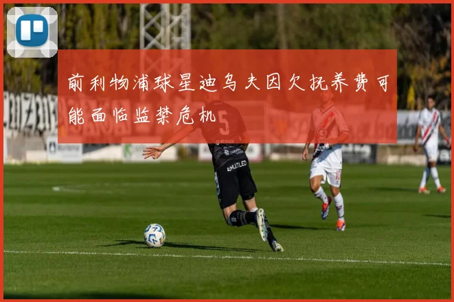 前利物浦球星迪乌夫因欠抚养费可能面临监禁危机