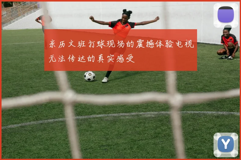 亲历文班打球现场的震撼体验电视无法传达的真实感受