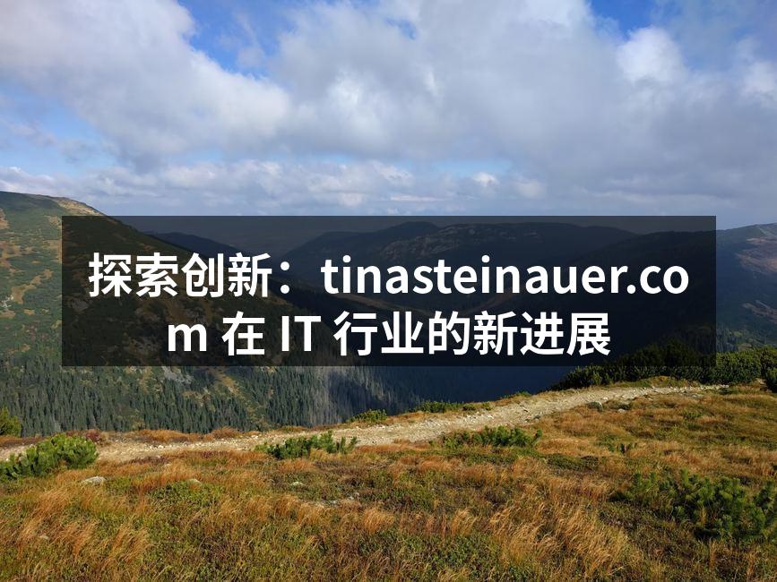 探索创新:tinasteinauer.com 在 IT 行业的新进展