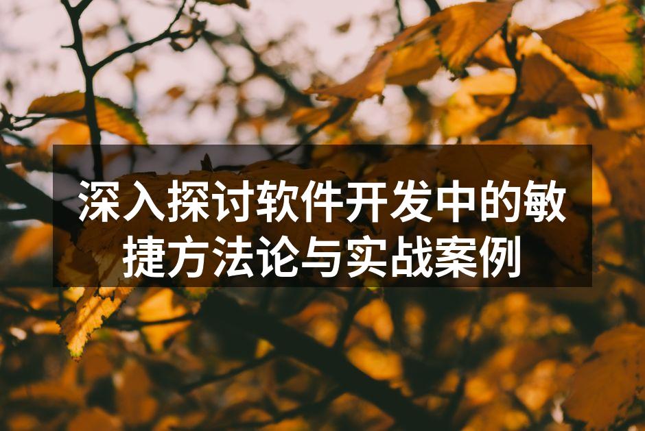 深入探讨软件开发中的敏捷方法论与实战案例