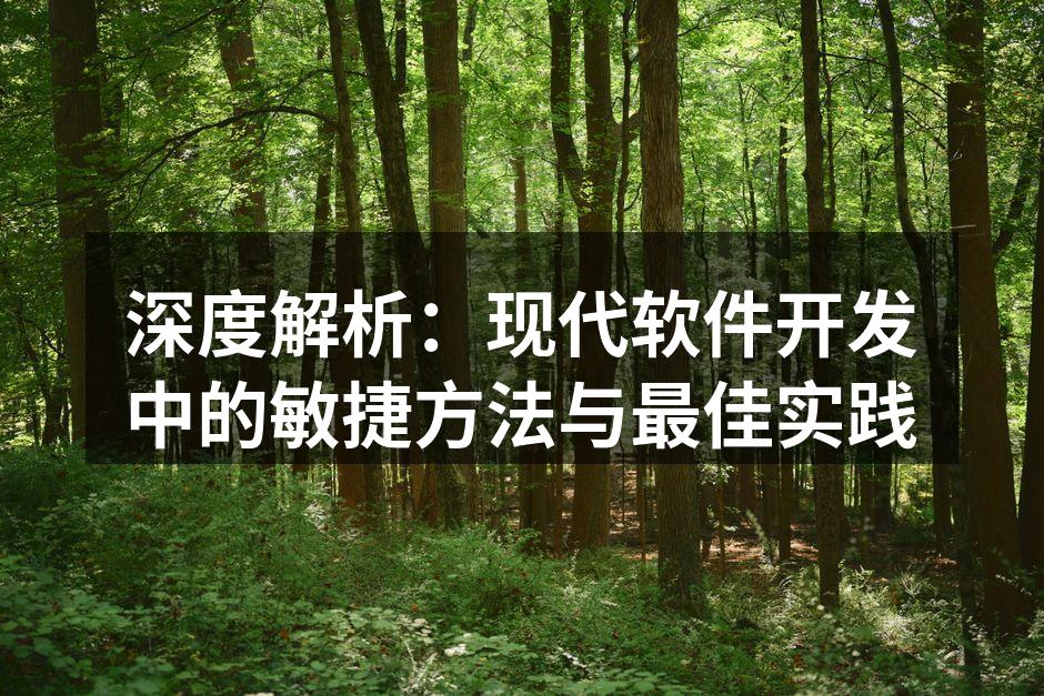 敏捷开发团队协作