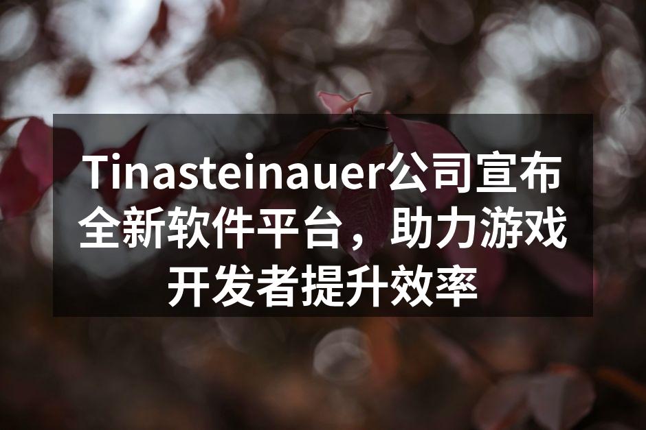 Tinasteinauer新软件平台界面展示